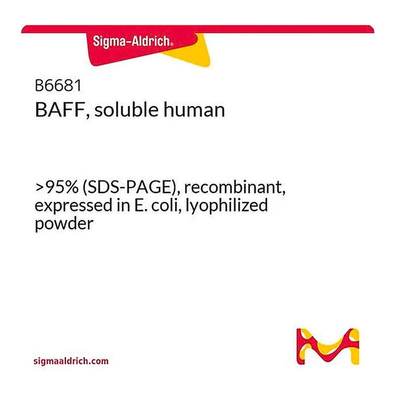 Merck BAFF, soluble human