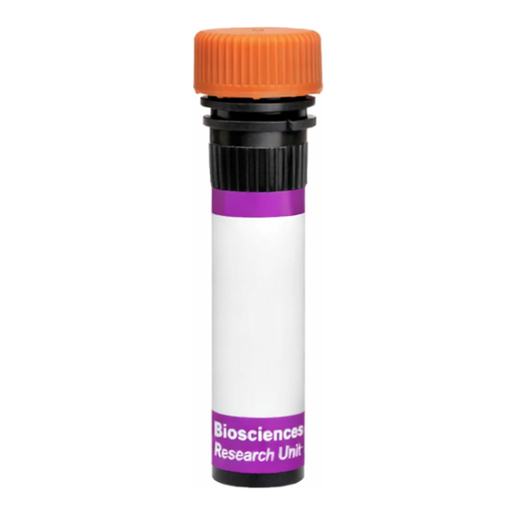 BD BV605 Rat Anti-Mouse FR4 (Folate receptor 4)
