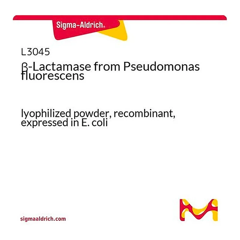 Merck beta-Lactamase from Pseudomonas fluorescens