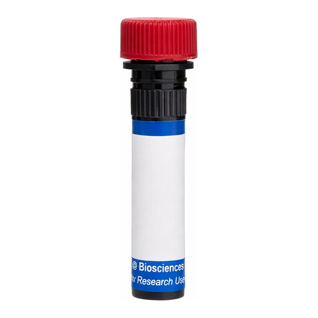BD RB670 Rat Anti-Mouse CD25 (IL-2 Receptor α)
