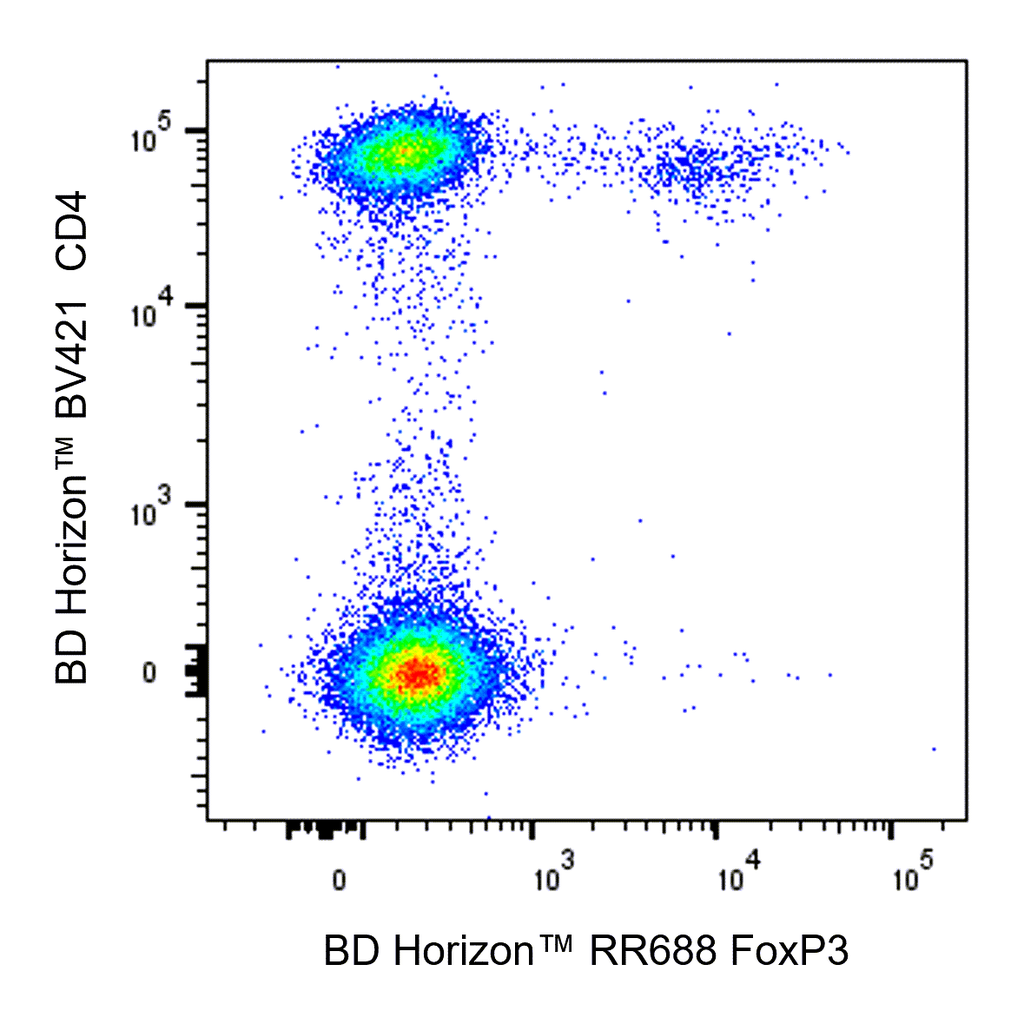 BD RR688 Mouse Anti-Human FoxP3