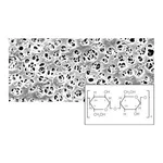 Regenerated Cellulose Membrane Filters
