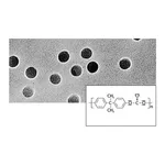 Polycarbonate Track-Etched Membrane Filters