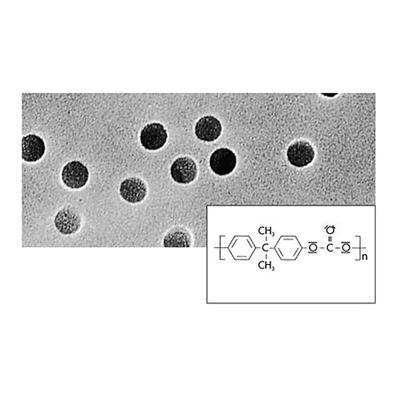 Polycarbonate Track-Etched Membrane Filters