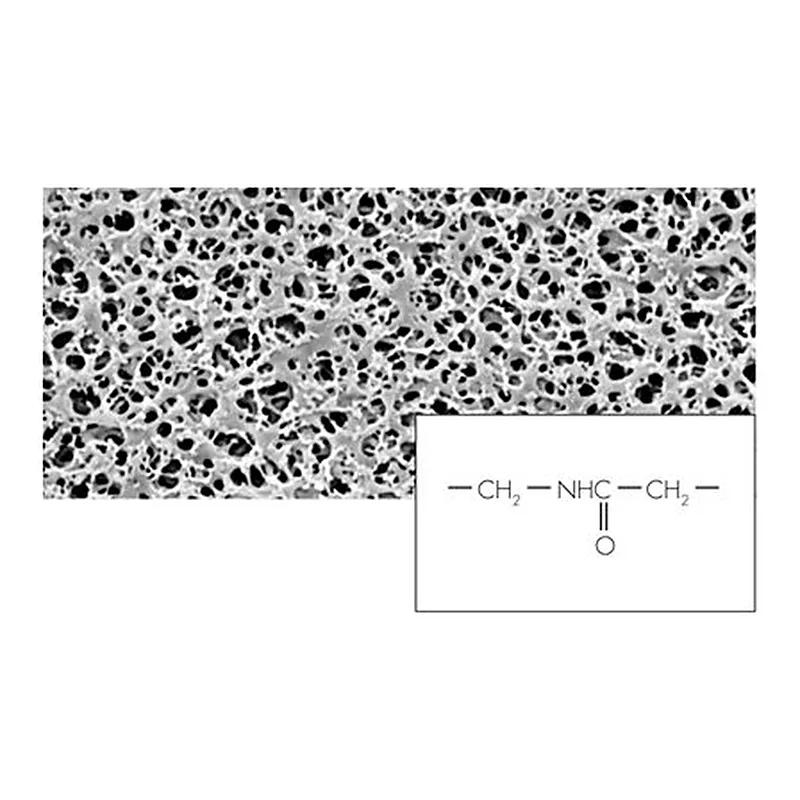 Polyamide Membrane Filters