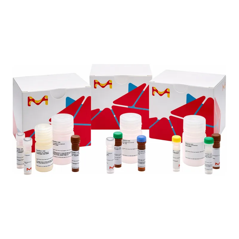 Merck beta-N-Acetylglucosaminidase Assay Kit