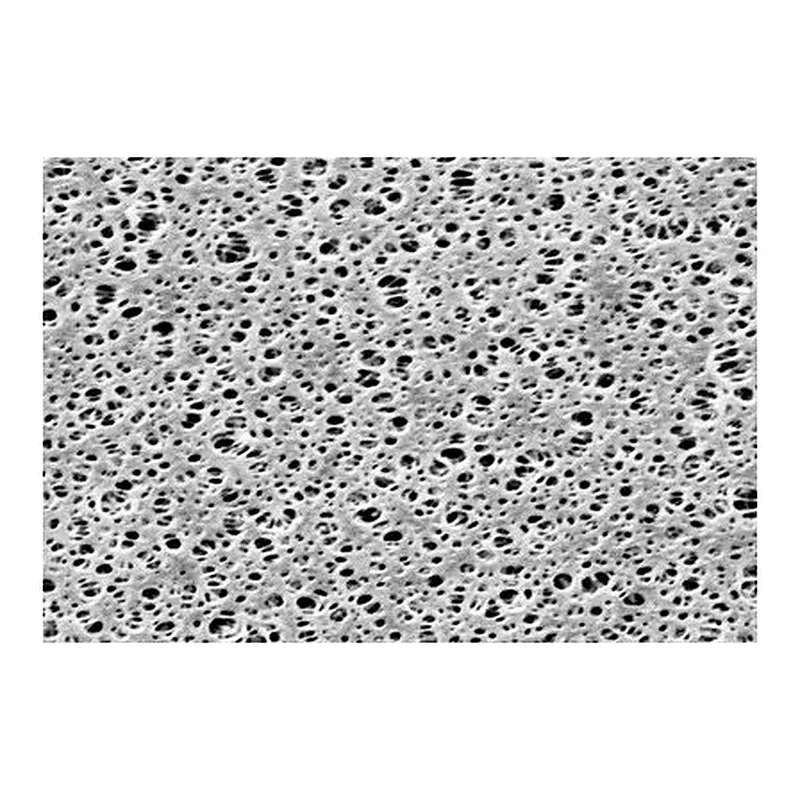 Polyethersulfone (PES) Membrane Filters