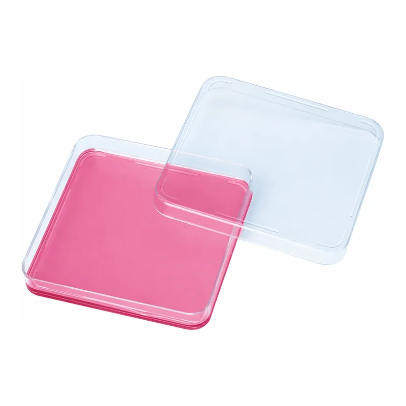 Daihan Science mediclin Square 100×100 and 130×130 Sterile Petri Dish, PS<br>With Gas Exchange