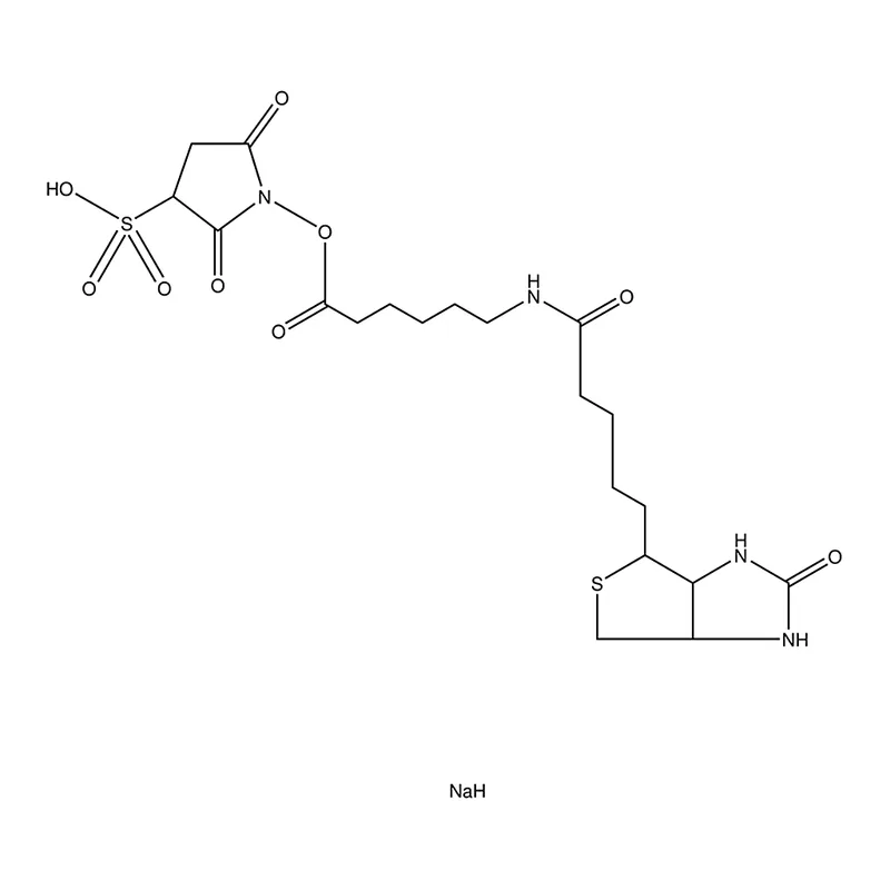 Merck Biotinamidohexanoic acid 3-sulfo-N-hydroxysuccinimide ester sodium salt