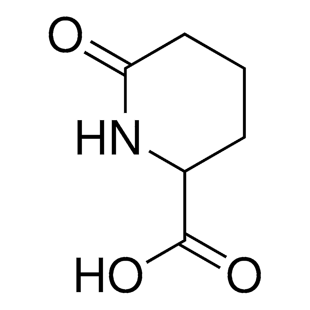 Merck 6-oxo-pipecolinic acid