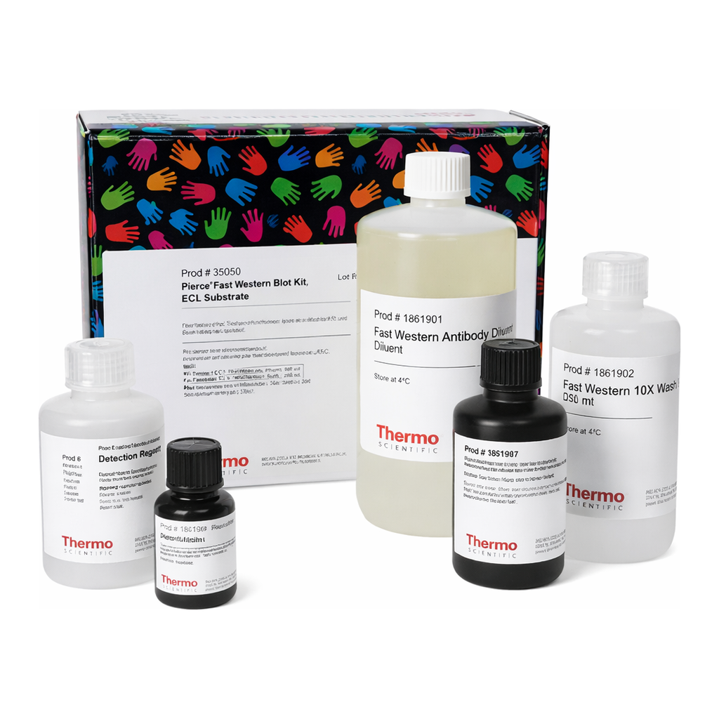 Thermo Fisher Scientific Pierce Fast Western Blot Kit, ECL Substrate, 1 L Kit