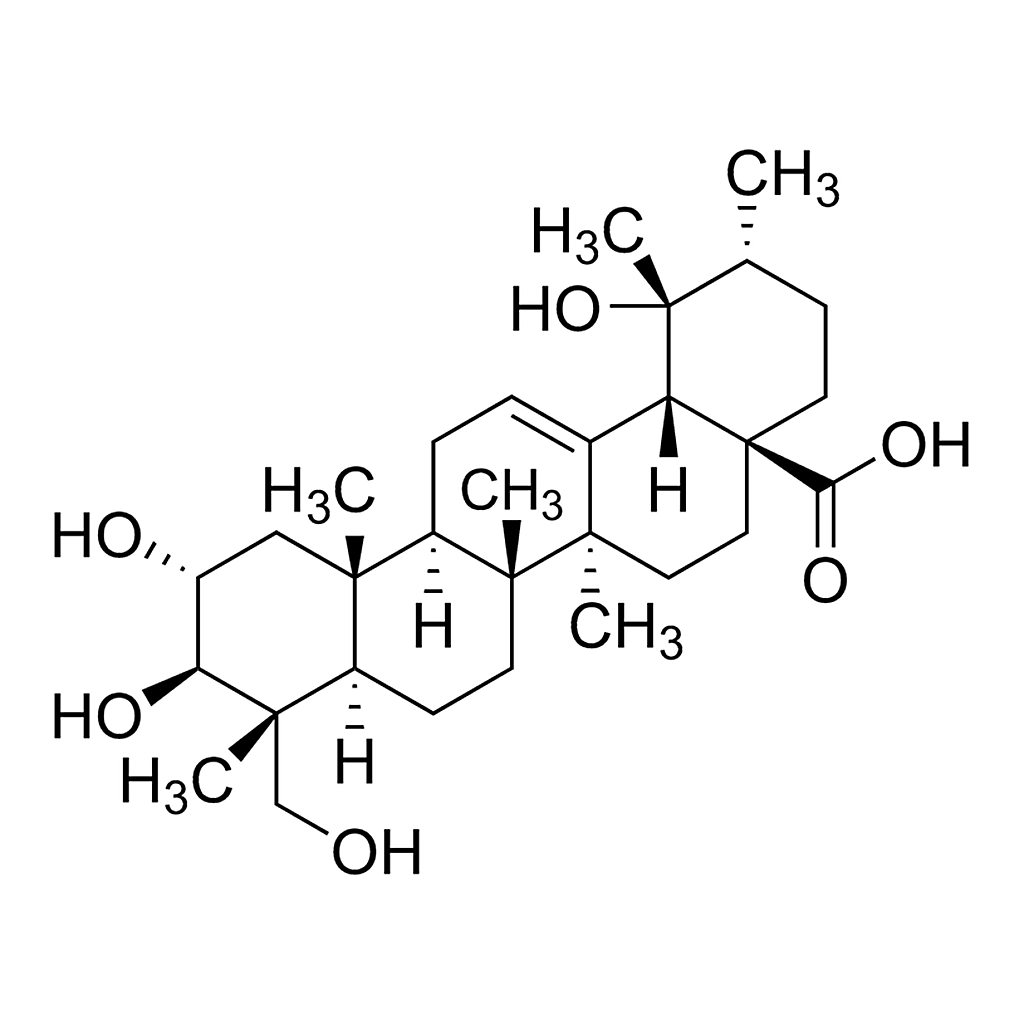 Merck 23-Hydroxytormentic acid