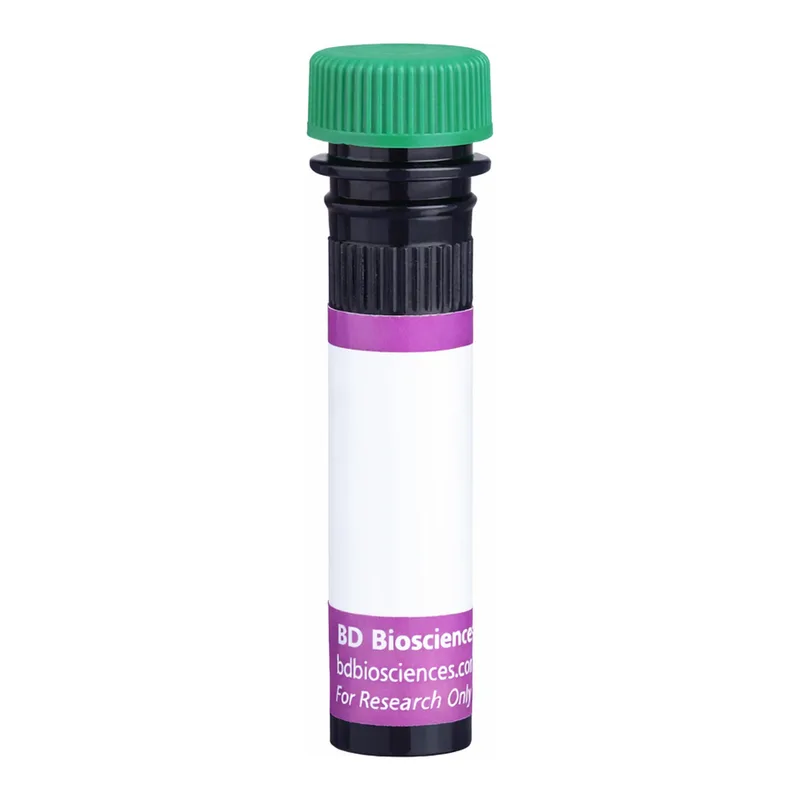 BD BV510 Biosimilar Anti-Human CD20 Rituximab297