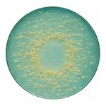 Merck CLED Agar