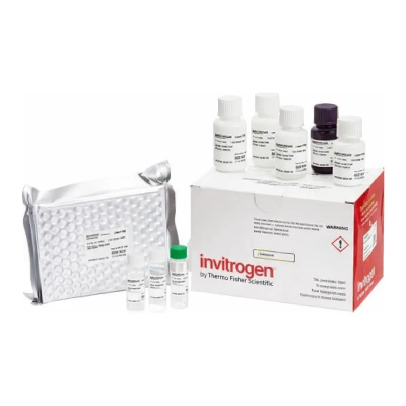 Thermo Fisher Scientific Mouse IgG Rapid ELISA Kit