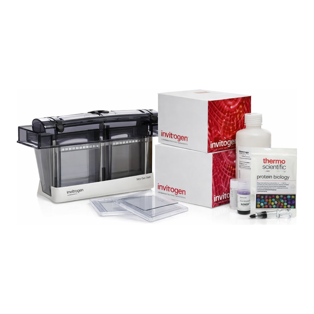 Thermo Fisher Scientific Novex Tricine Welcome Pack, 16%, 10-well, 1 Welcome Pk. kit