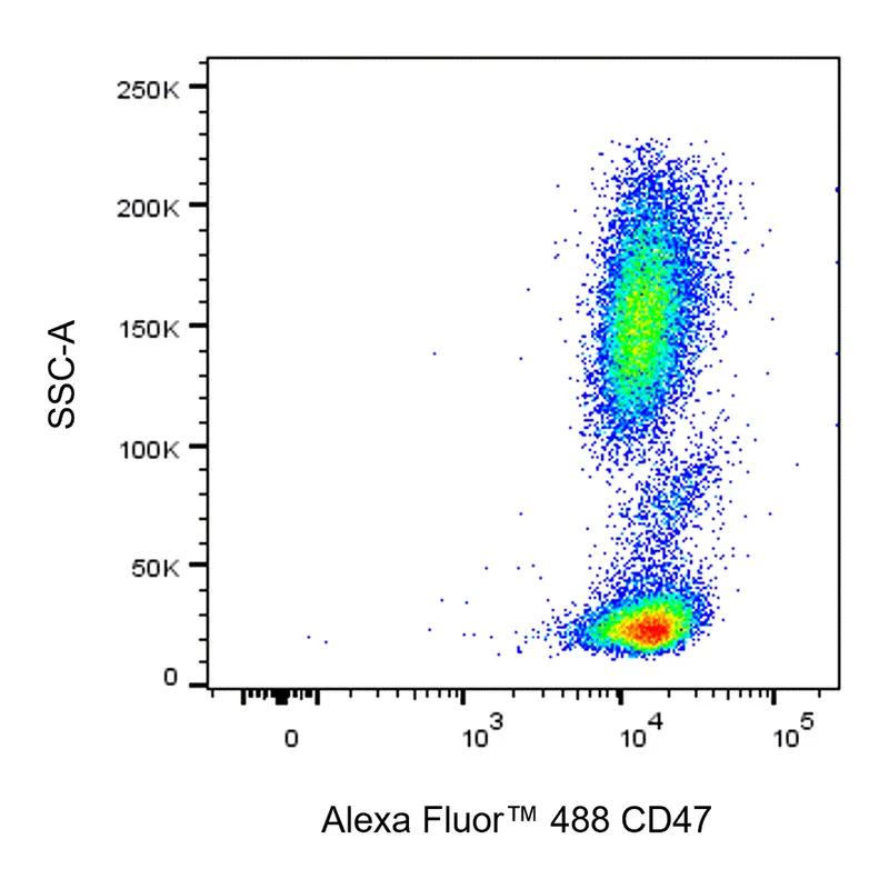 BD Alexa Fluor 488 Mouse Anti-Human CD47