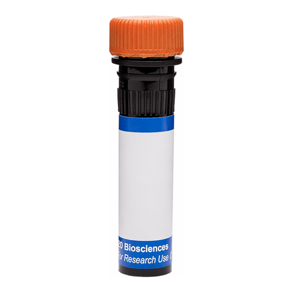 BD RB613 Mouse Anti-Human CD127 (IL-7 Receptor α)