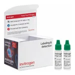 Thermo Fisher Scientific SYTOX Green Ready Flow Reagent