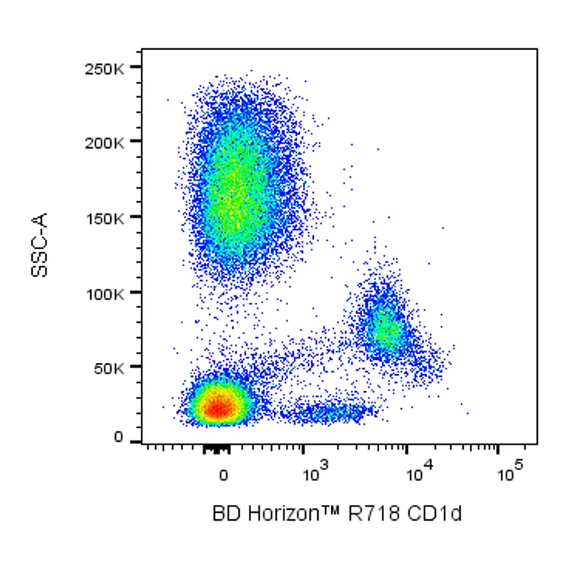 BD R718 Mouse Anti-Human CD1d