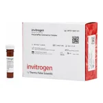 Thermo Fisher Scientific SARS-CoV-2 Nucleocapsid Ig Total Human ProcartaPlex Simplex Kit