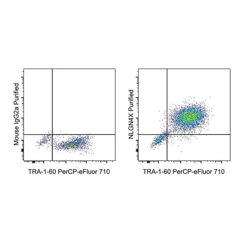 Thermo Fisher Scientific F(ab`)2-Goat anti-Mouse IgG (H+L) Secondary Antibody, PE, eBioscience