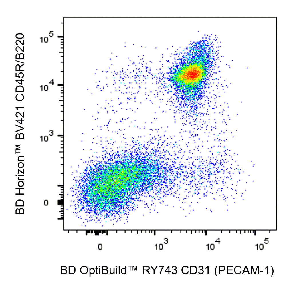 BD RY743 Rat Anti-Mouse CD31 (PECAM-1)