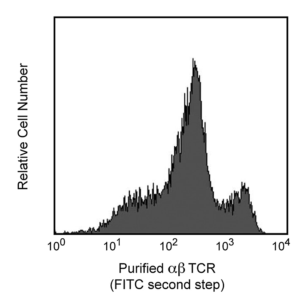 BD Purified Mouse Anti-Rat αβ T-Cell Receptor