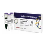 Thermo Fisher Scientific FastDigest PfeI