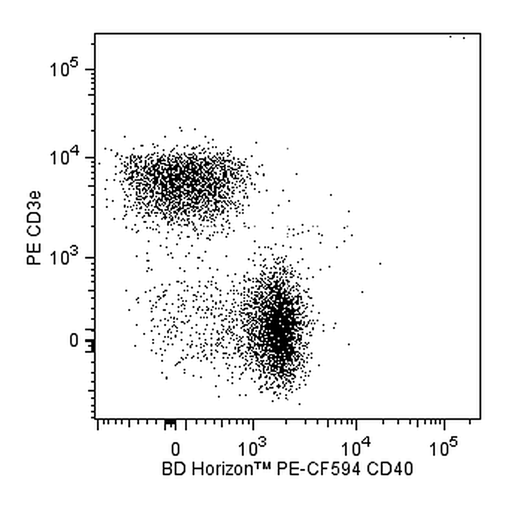 BD PE-CF594 Rat Anti-Mouse CD40