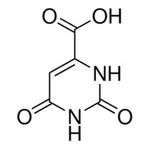 Merck OROTIC ACID FREE ACID ANHYDROUS