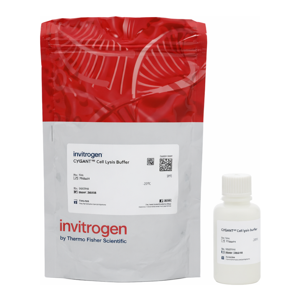Thermo Fisher Scientific CyQUANT Cell Lysis Buffer (20X)