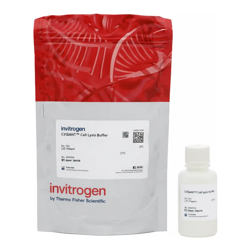 Thermo Fisher Scientific CyQUANT Cell Lysis Buffer (20X)