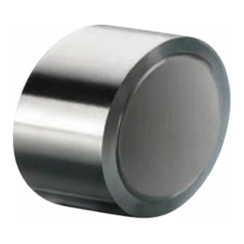 Waters XBridge BEH HILIC Prep Guard Cartridge, 130Å, 5 µm, 19 mm X 10 mm, 1/pk