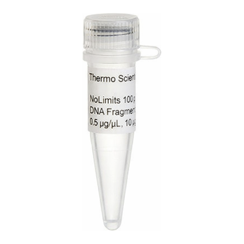 Thermo Fisher Scientific NoLimits 8000 bp DNA Fragment