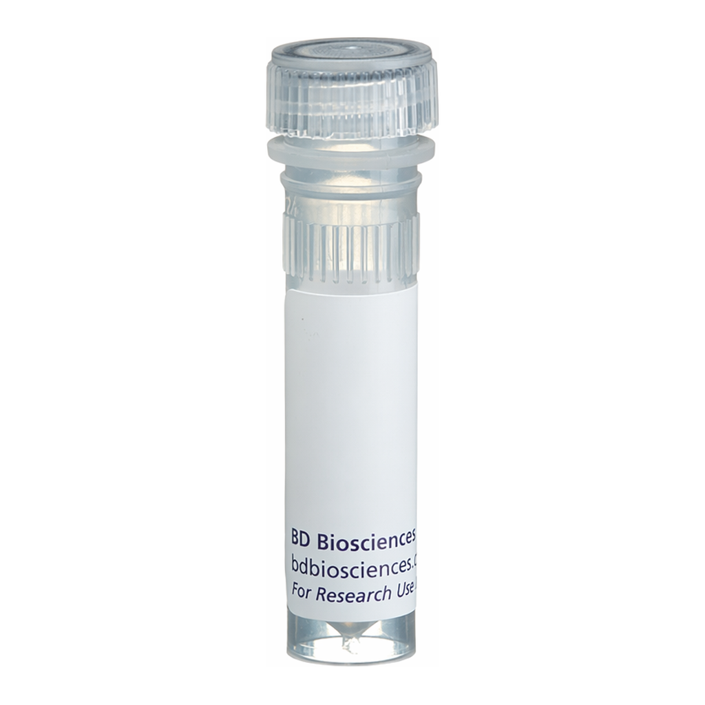 BD Biotin Rat Anti-Mouse CD90.2