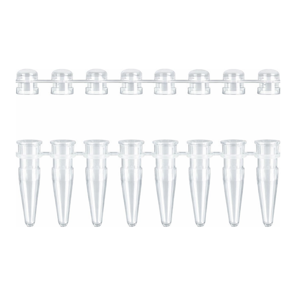 Thermo Fisher Scientific 8-Strip PCR Tubes, 0.2 mL