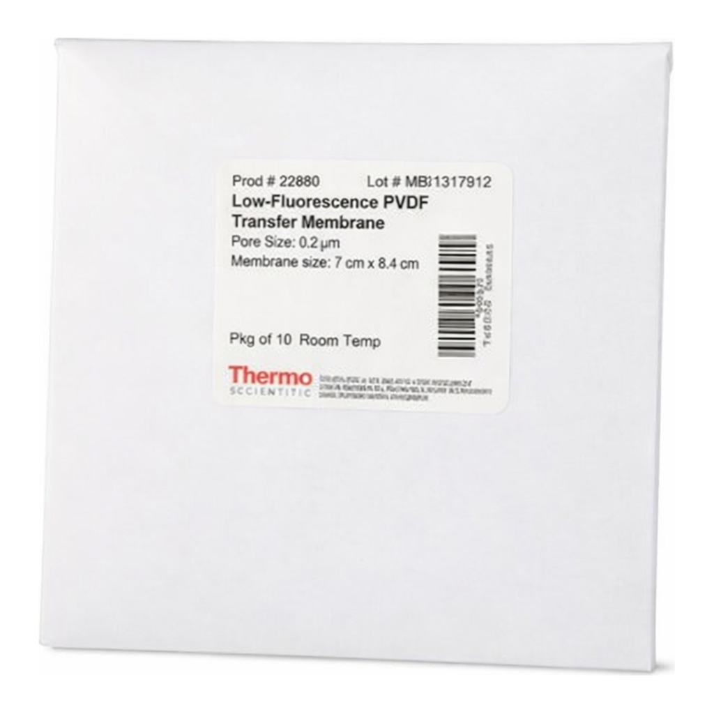 Thermo Fisher Scientific Low-Fluorescence PVDF Transfer Membranes, 0.2 &micro;m, 7 x 8.4 cm