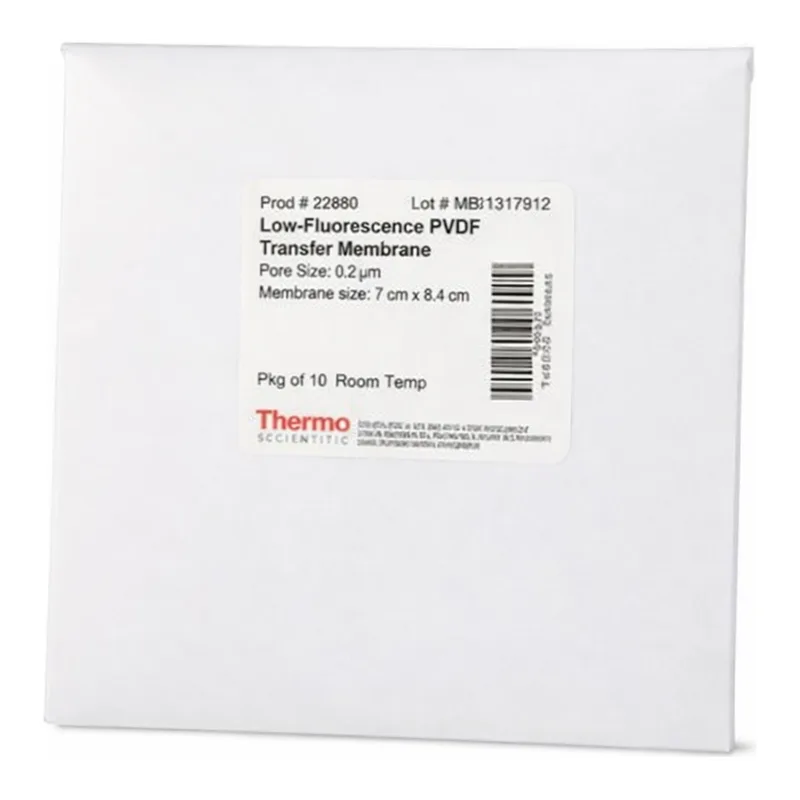 Thermo Fisher Scientific Low-Fluorescence PVDF Transfer Membranes, 0.2 µm, 7 x 8.4 cm