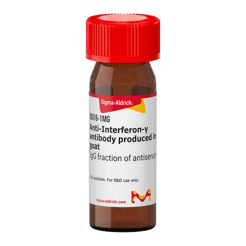 Merck Anti-Interferon-gamma antibody produced in goat