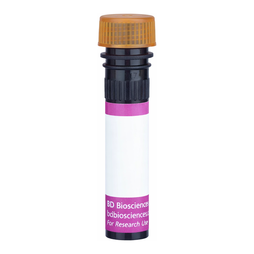 BD BV786 Rat Anti-Human CAT1 (SLC7A1)