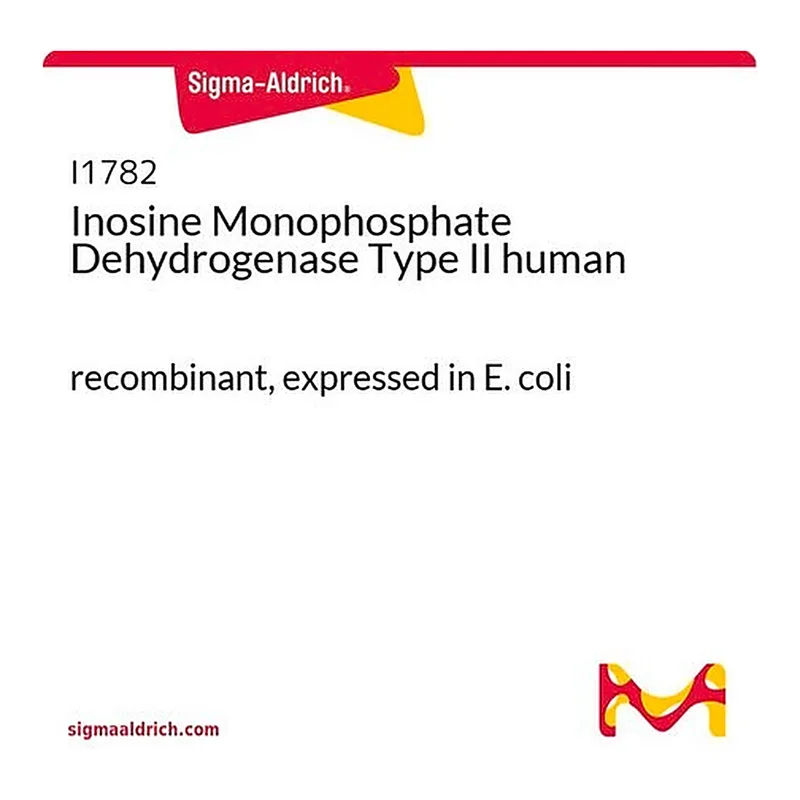 Merck Inosine Monophosphate Dehydrogenase Type II human
