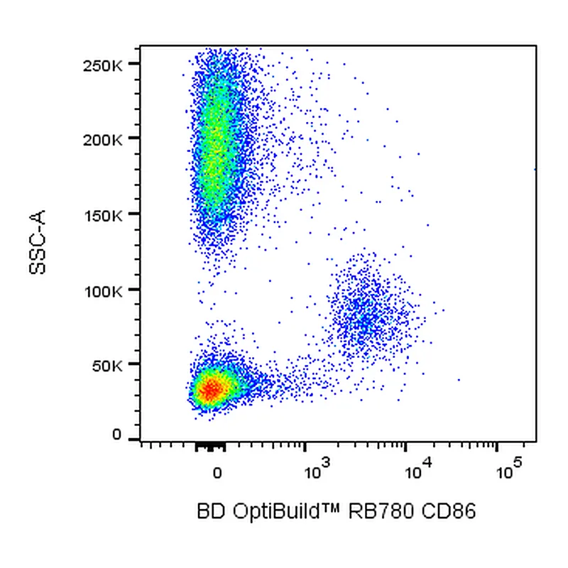 BD RB780 Mouse Anti-Human CD86 (B7-2)