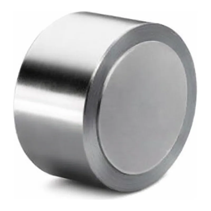 Waters XBridge BEH C8 Prep Guard Cartridge, 130Å, 10 µm, 19 mm X 10 mm, 1/pk