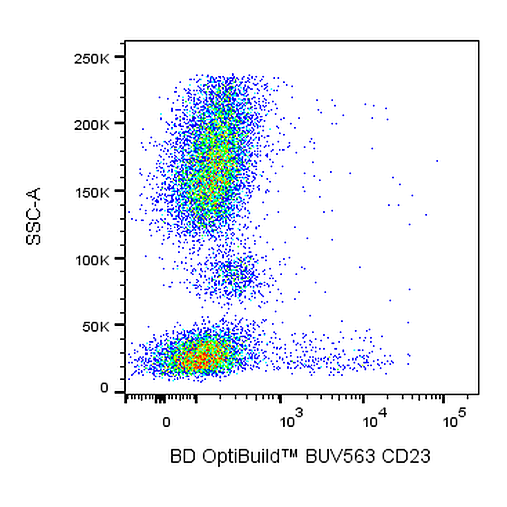 BD BUV563 Mouse Anti-Human CD23