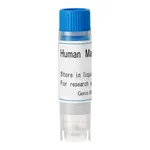 Thermo Fisher Scientific Human OCT2 (G) SLC Transporter Cells