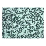 Thermo Fisher Scientific Dri-Cal Particle Size Standards, 97μm ± 3μm dia