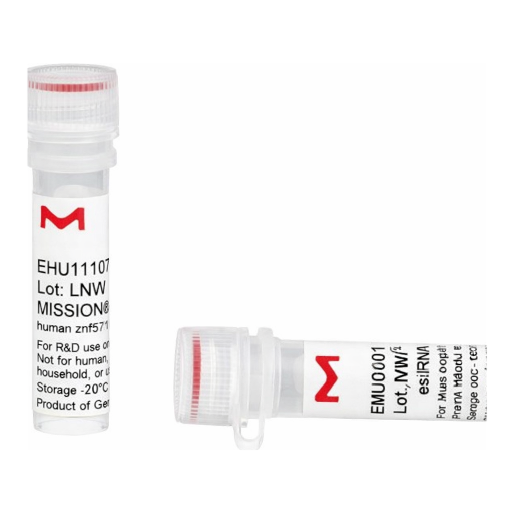 Merck MISSION(R) esiRNA