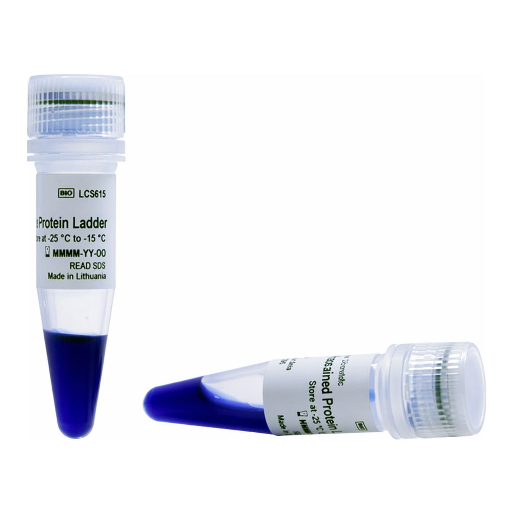 Thermo Fisher Scientific iBright Prestained Protein Ladder, 2 x 250 &mu;L
