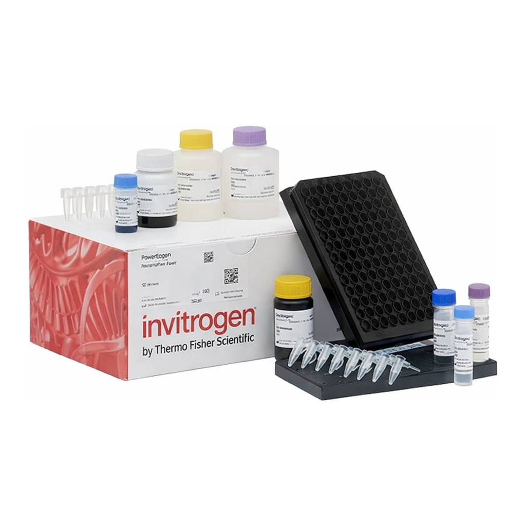 Thermo Fisher Scientific ProcartaPlex Rat Antibody Isotyping Panel, 6plex
